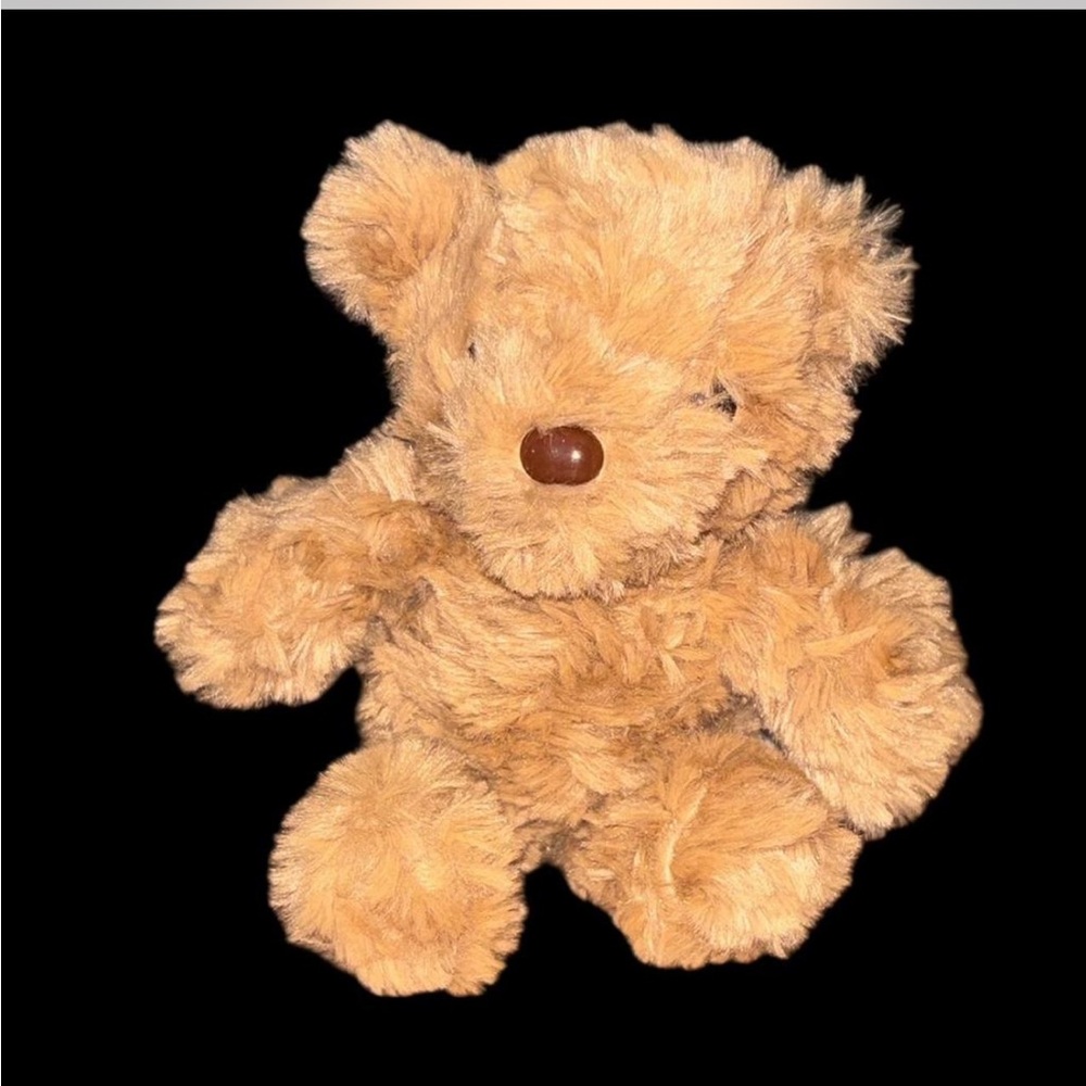 teddy bear with brown nose